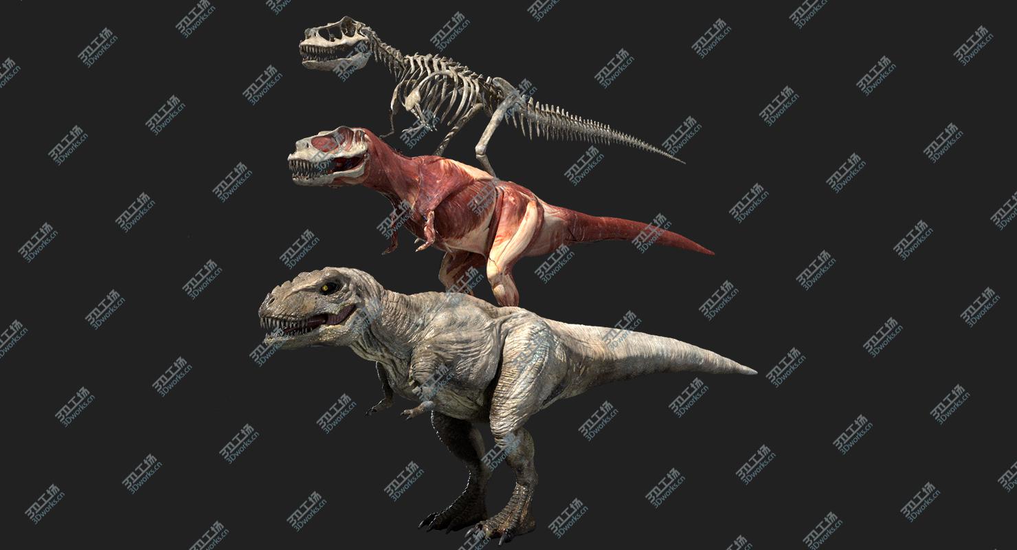 images/goods_img/202104094/3D Tyrannosaurus Rex Anatomy/2.jpg